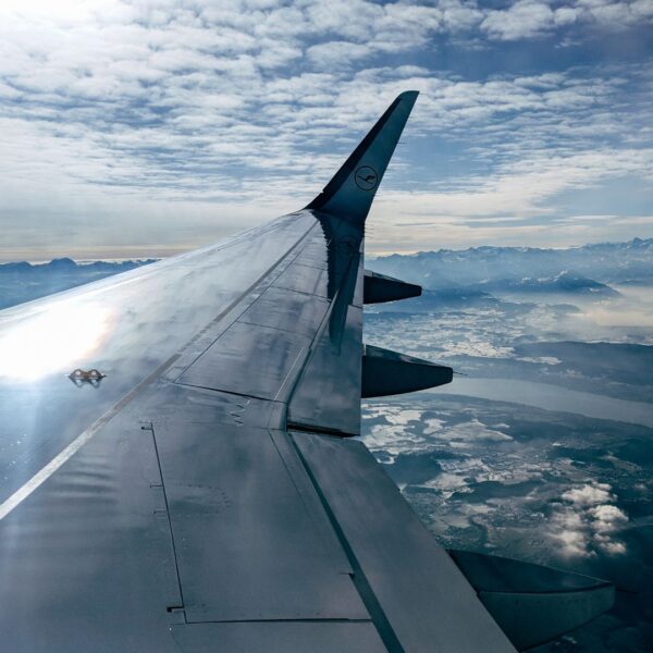 wing